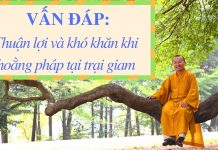 Vấn đáp: Thuận lợi, khó khăn khi hoằng pháp tại trại giam – Thích Nhật Từ van dap thuan loi kho khan khi h