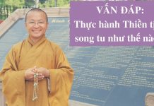 Vấn đáp: Thực hành Thiền tịnh song tu như thế nào ? – Thích Nhật Từ van dap thuc hanh thien tinh son