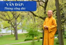 Vấn đáp: Thùng công đức – Thích Nhật Từ van dap thung cong duc thich nha