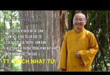 Vấn Đáp: Thuyết Duyên Khởi Và Tái Sinh, Sám Hối, Xưng Tội Và Rửa Tội – Thích Nhật Từ van dap thuyet duyen khoi va tai