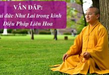 Vấn đáp: Tiềm năng làm Phật – Thích Nhật Từ van dap tiem nang lam phat thich