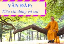 Vấn đáp: Tiêu chí đúng và sai – Thích Nhật Từ van dap tieu chi dung va sai thi