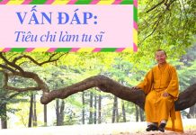 Vấn đáp: Tiêu chi làm tu sĩ – Thích Nhật Từ van dap tieu chi lam tu si thich