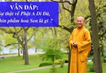 Vấn đáp: Tiêu chí vãng sanh cực lạc – Thích Nhật Từ van dap tieu chi vang sanh cuc l