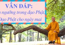 Vấn đáp: Tín ngưỡng trong đạo Phật, đạo Phật cho ngày mai – Thích Nhật Từ van dap tin nguong trong dao pha