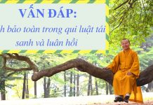 Vấn đáp: Tính bảo toàn trong qui luật tái sanh và luân hồi – Thích Nhật Từ van dap tinh bao toan trong qui