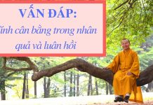 Vấn đáp: Tính cân bằng trong nhân quả và luân hồi – Thích Nhật Từ van dap tinh can bang trong nhan