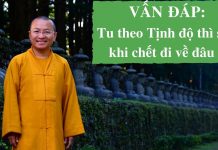 Vấn đáp: Tịnh độ trong Kinh A Di Đà – Thích Nhật Từ van dap tinh do trong kinh a di