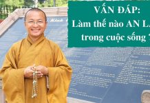 Vấn đáp: Tịnh độ trong tại nhân gian – Thích Nhật Từ van dap tinh do trong tai nhan g