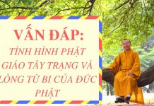 Vấn đáp: Tình hình Phật giáo Tây Trạng và lòng từ bi của Đức Phật – Thích Nhật Từ van dap tinh hinh phat giao tay