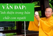 Vấn đáp: Tính thiện trong bản chất con người – Thích Nhật Từ van dap tinh thien trong ban cha