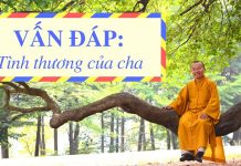 Vấn đáp: Tình thương của cha – Thích Nhật Từ van dap tinh thuong cua cha thic