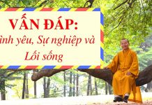 Vấn đáp: Tình yêu, Sự nghiệp và Lối sống – Thích Nhật Từ van dap tinh yeu su nghiep va lo