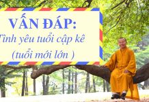 Vấn đáp: Tình yêu tuổi cập kê ( tuổi mới lớn ) – Thích Nhật Từ van dap tinh yeu tuoi cap ke tuo