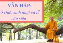 Vấn đáp: Tổ chức sinh nhật và lễ cầu siêu – Thích Nhật Từ van dap to chuc sinh nhat va le