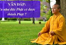 Vấn đáp: Tông chỉ tu tập, tọa thiền 49 ngày – Thích Nhật Từ van dap tong chi tu tap toa thie