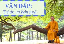 Vấn đáp: Tri ân và bản ngã – Thích Nhật Từ van dap tri an va ban nga thich