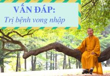 Vấn đáp: Trị bệnh vong nhập – Thích Nhật Từ van dap tri benh vong nhap thich