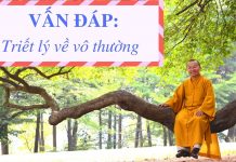 Vấn đáp: Triết lý về vô thường – Thích Nhật Từ van dap triet ly ve vo thuong th