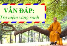 Vấn đáp: Trợ niệm vãng sanh – Thích Nhật Từ van dap tro niem vang sanh thich