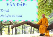 Vấn đáp: Trợ tử, nghiệp tái sinh – Thích Nhật Từ van dap tro tu nghiep tai sinh t