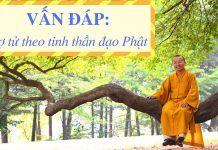 Vấn đáp: Trợ tử theo tinh thần đạo Phật – Thích Nhật Từ van dap tro tu theo tinh than da