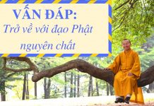 Vấn đáp: Trở về với đạo Phật nguyên chất – Thích Nhật Từ van dap tro ve voi dao phat nguy