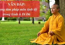 Vấn đáp: Trọng tâm pháp môn tịnh độ trong kinh A Di Đà – Thích Nhật Từ van dap trong tam phap mon tinh