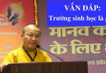 Vấn đấp: Trường sinh học là gì ? – Thích Nhật Từ van dap truong sinh hoc la gi th