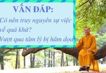 Vấn đáp: Truy nguyên sự việc về quá khứ, vượt qua tâm lý bị hăm họa – Thích Nhật Từ van dap truy nguyen su viec ve q