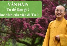 Vấn đáp: Tu để làm gì ? – Thích Nhật Từ van dap tu de lam gi thich nhat