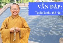 Vấn đáp: Tự độ – Thích Nhật Từ van dap tu do thich nhat tu