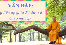 Vấn đáp: Tư duy và gieo nghiệp – Thích Nhật Từ van dap tu duy va gieo nghiep th