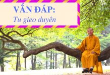 Vấn đáp: Tu gieo duyên – Thích Nhật Từ van dap tu gieo duyen thich nhat