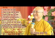 Vấn Đáp: Tu Học Phật Tại Chùa, Pháp Tu Tam Thời Hệ Niệm – Thích Nhật Từ van dap tu hoc phat tai chua pha
