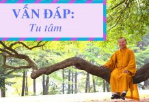 Vấn đáp: Tu tâm – Thích Nhật Từ van dap tu tam thich nhat tu