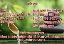 Vấn đáp: Tu tâm, y phục người xuất gia, tượng Phật có râu, quán tưởng, mục đích thọ Bồ Tát giới,… van dap tu tam y phuc nguoi xuat