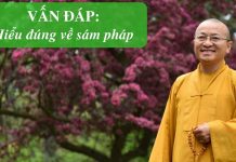 Vấn đáp: Tu tập bái xám – Thích Nhật Từ van dap tu tap bai xam thich nha