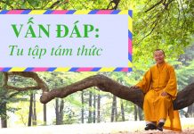 Vấn đáp: Tu tập tám thức – Thích Nhật Từ van dap tu tap tam thuc thich nh