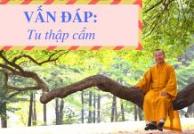 Vấn đáp: Tu thập cẩm – Thích Nhật Từ van dap tu thap cam thich nhat t