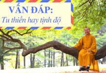 Vấn đáp: Tu thiền hay tịnh độ – Thích Nhật Từ van dap tu thien hay tinh do thi