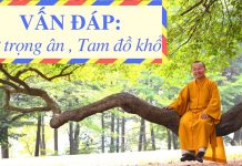 Vấn đáp: Tứ trọng ân , Tam đồ khổ – Thích Nhật Từ van dap tu trong an tam do kho t