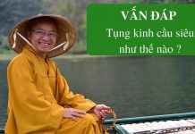 Vấn đáp: Tụng kinh cầu siêu – Thích Nhật Từ van dap tung kinh cau sieu thich