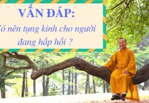 Vấn đáp: Tụng kinh cho người đang hấp hối – Thích Nhật Từ van dap tung kinh cho nguoi dang