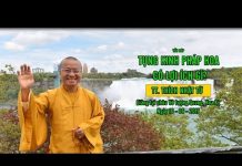 Vấn đáp: Tụng kinh Pháp Hoa có lợi ích gì – Thích Nhật Từ van dap tung kinh phap hoa co lo