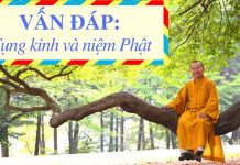 Vấn đáp: Tụng kinh và niệm Phật – Thích Nhật Từ van dap tung kinh va niem phat t
