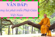 Vấn đáp: Tương lai phát triển Phật Giáo VN – Thích Nhật Từ van dap tuong lai phat trien pha