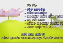 Vấn đáp: Tùy duyên, liễu nghiệp, nghiệp diệt côn trùng, sự tái sinh,… van dap tuy duyen lieu nghiep ng