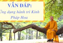 Vấn đáp: Ứng dụng hành trì Kinh Pháp Hoa – Thích Nhật Từ van dap ung dung hanh tri kinh p