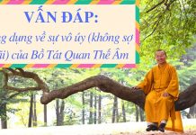 Vấn đáp: Ứng dụng về 14 sự vô úy không sợ hãi của Bồ Tát Quan Thế Âm – Thích Nhật Từ van dap ung dung ve 14 su vo uy